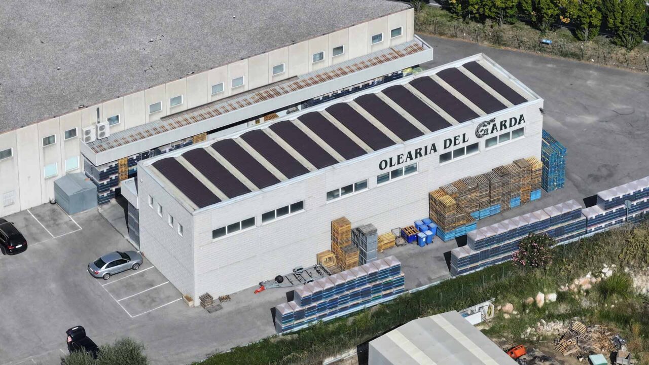 Realizzazioni Olearia Garda Lunati DJI 20231009122223 0074 D